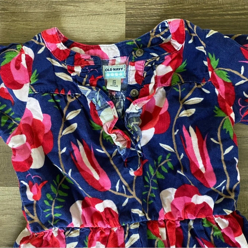 Kids Old Navy Blue and Red Floral Dress size 2 T